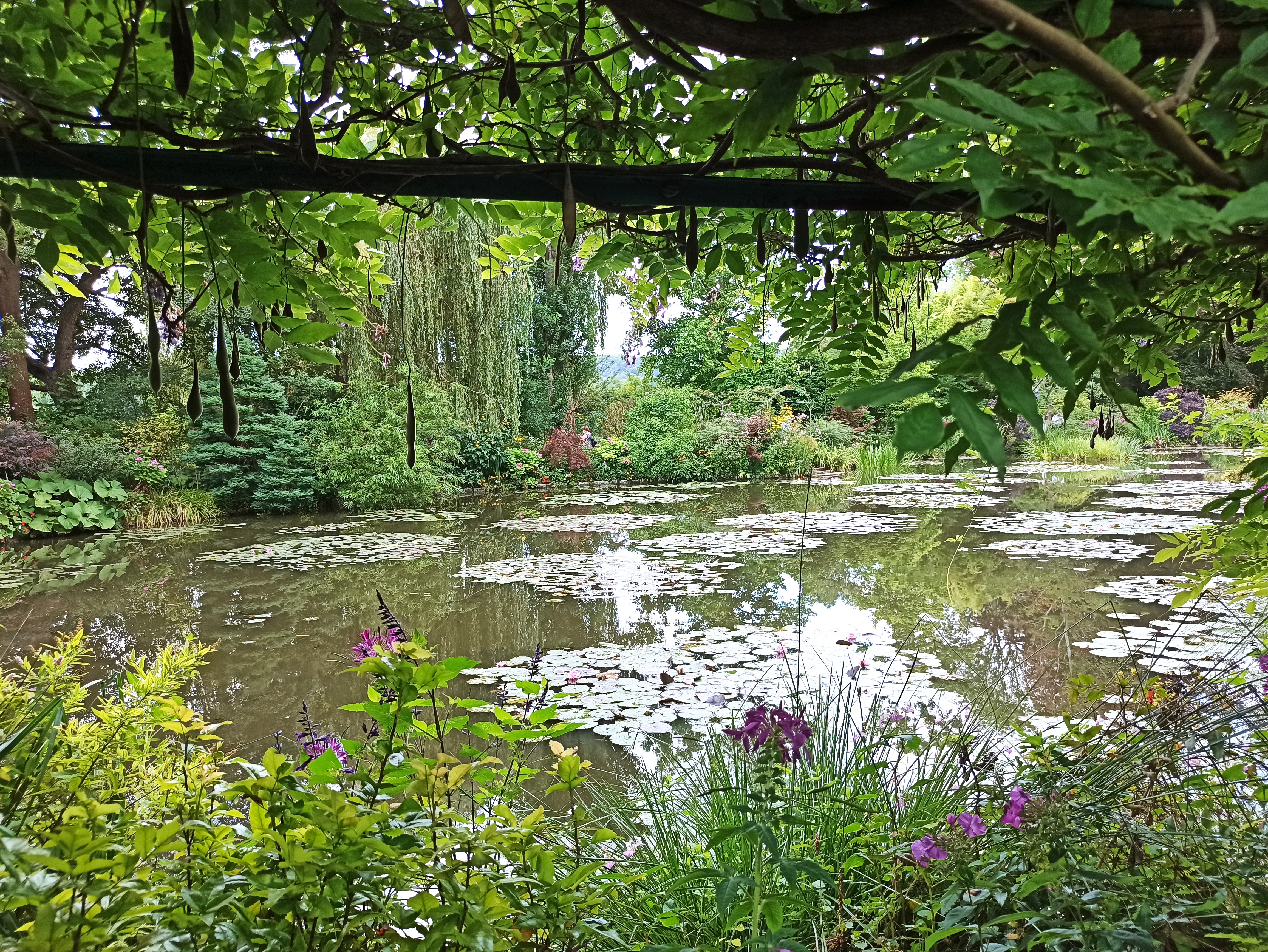 Photo n° 6 de l'avis de Antonio.a fait le 11/08/2021 à 17:59