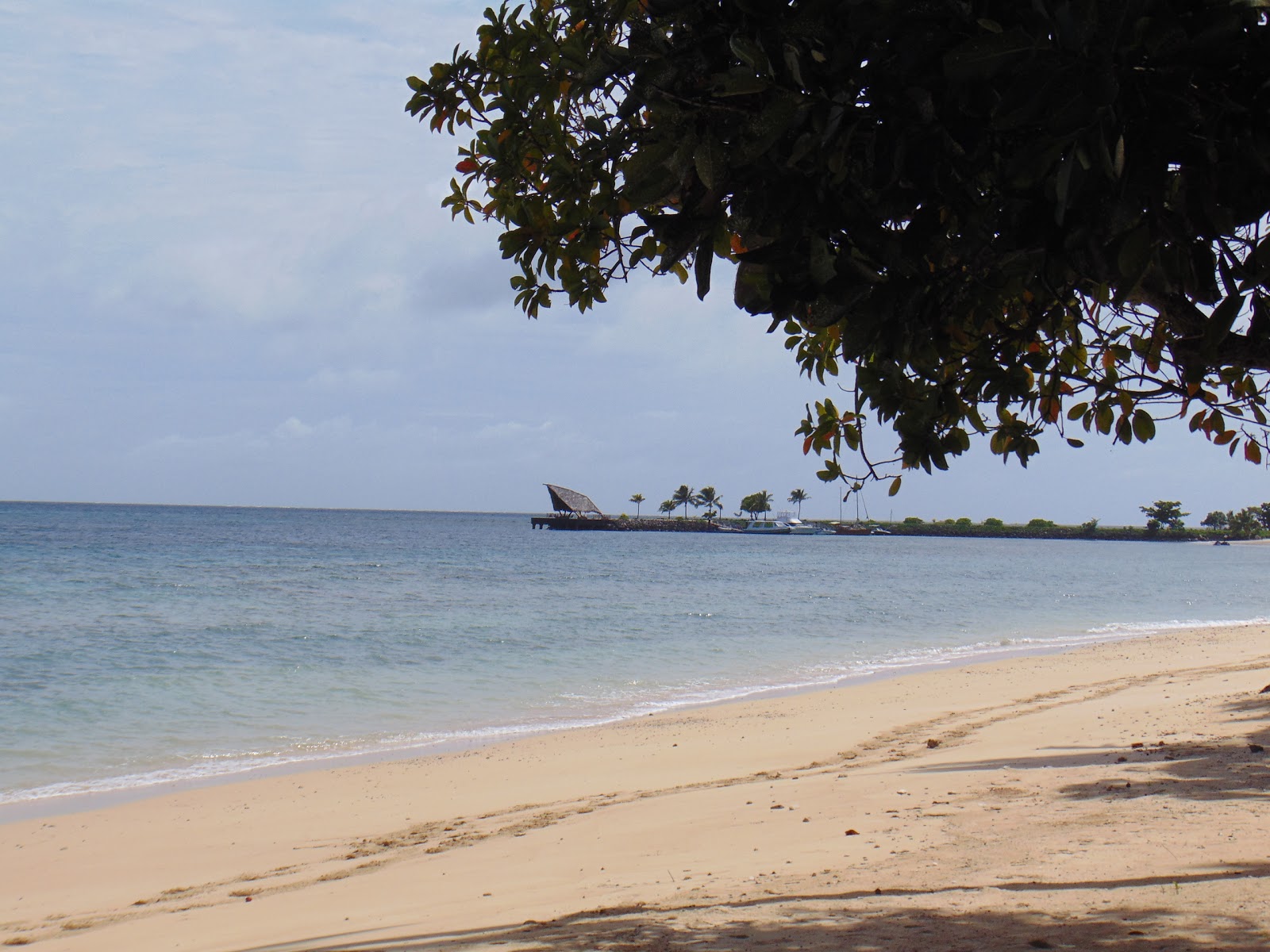 Foto af Laucala Beach II med rummelig kyst