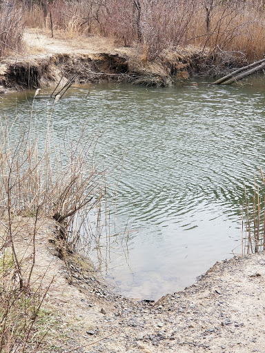 State Park «Cheesequake State Park», reviews and photos, 300 Gordon Rd, Matawan, NJ 07747, USA