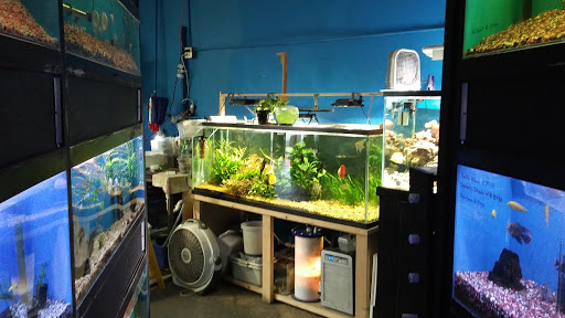 Tropical Fish Store «Sunset Pet & Supplies», reviews and photos, 1373 Sunset Blvd, Los Angeles, CA 90026, USA