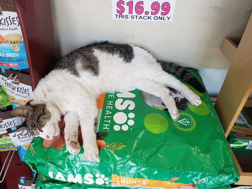 Pantry «Animal Pantry», reviews and photos, 693 86th St, Brooklyn, NY 11228, USA