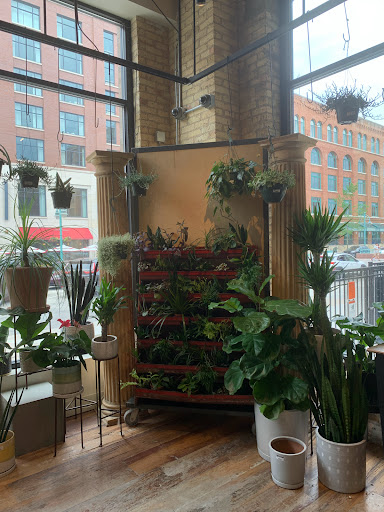 General Store «MOD GEN - A Modern General Store», reviews and photos, 211 N Broadway, Milwaukee, WI 53202, USA