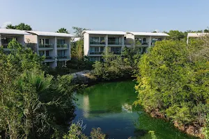 Andaz Mayakoba Resort Riviera Maya - a Concept by Hyatt image