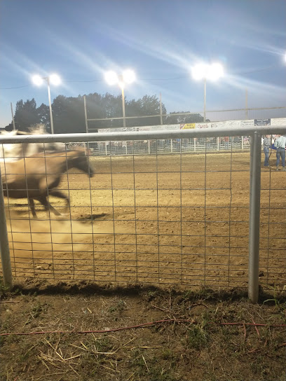 Newton County Fair & Rodeo