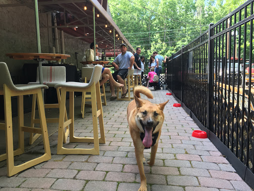 Pet Supply Store «The Hungry Puppy», reviews and photos, 1288 NJ-33, Farmingdale, NJ 07727, USA