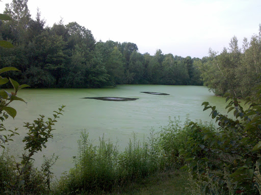 Gift Shop «Stonehedge Gardens», reviews and photos, 51 Dairy Rd, Tamaqua, PA 18252, USA