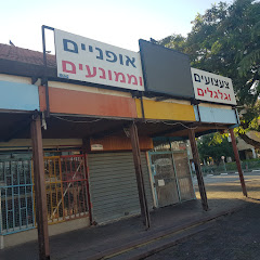 תמונה