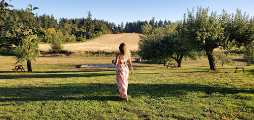 Winery «Lady Hill Winery», reviews and photos, 8400 Champoeg Rd NE, St Paul, OR 97137, USA