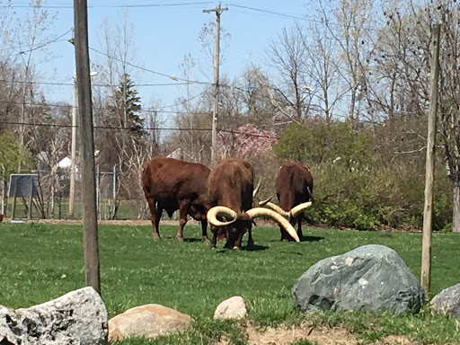 Aquarium «Toledo Zoo Aquarium», reviews and photos, 2700 Broadway St, Toledo, OH 43609, USA