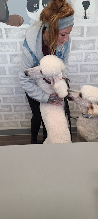 Almost Home Speak Dog - Photo 6 - Car repair in Bettendorf, IA, Davenport