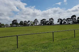 Evans Reserve image