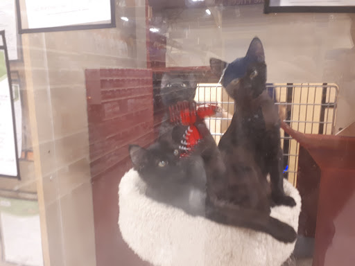 Pet Supply Store «PetSmart», reviews and photos, 3081 S 5600 W, Salt Lake City, UT 84120, USA