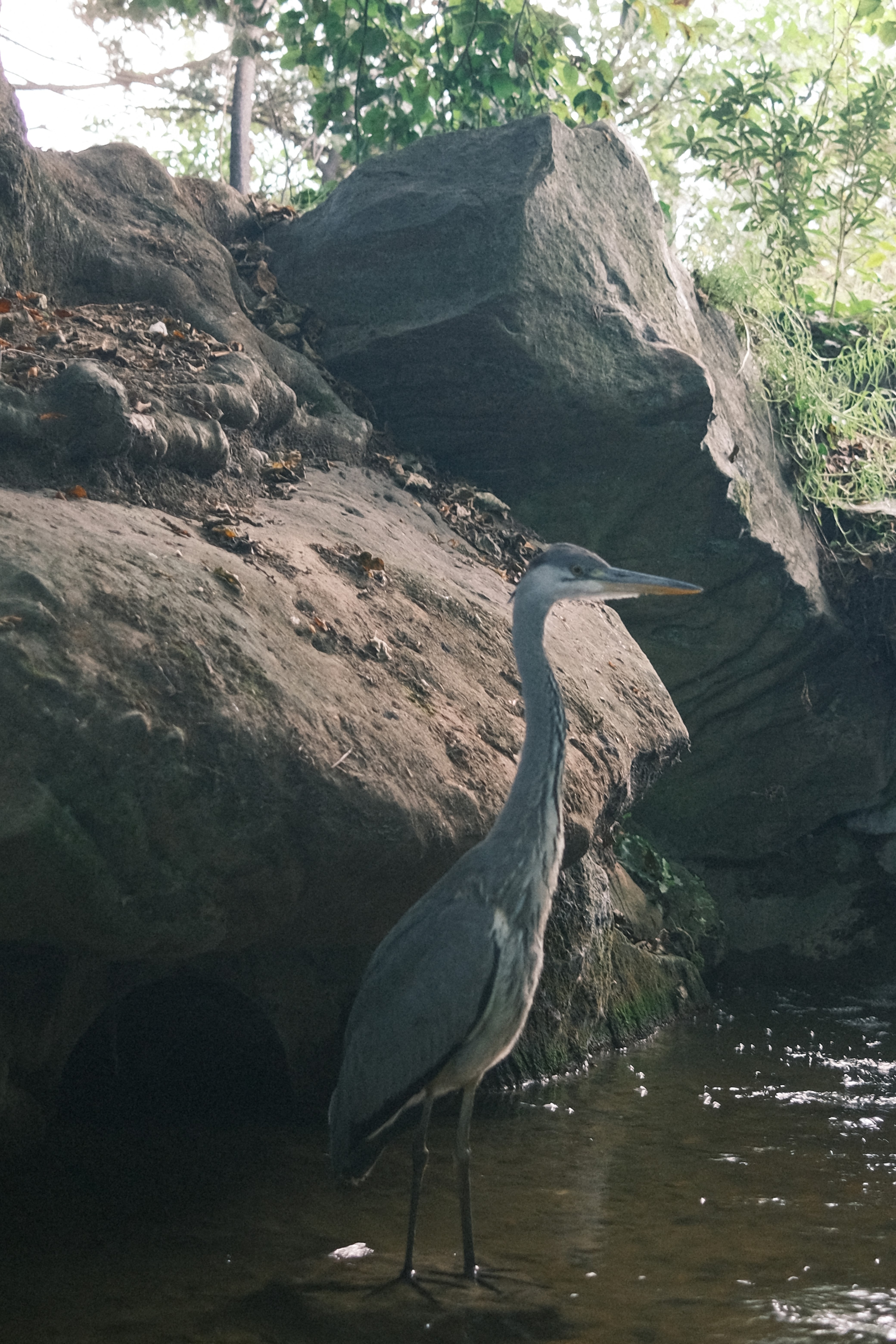 Photo n° 6 de l'avis de Jules.a fait le 06/09/2023 à 21:50