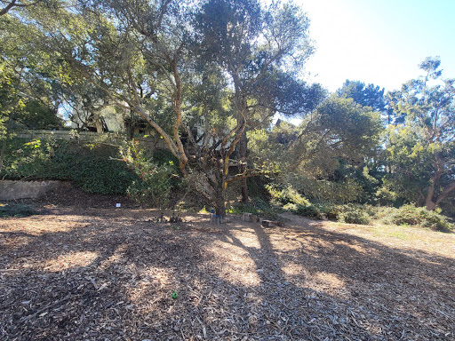 Upper Bridgeview Trailhead