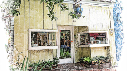 Shady Grove Flowers, 65 N Lexington Ave, Asheville, NC 28801, USA, 