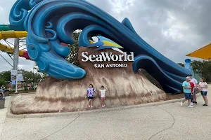 SeaWorld San Antonio image