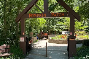 The Pumpkin Patch Playground image