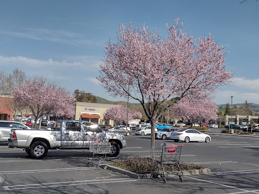 Shopping Mall «Clayton Valley Shopping Center», reviews and photos, 5424 Ygnacio Valley Rd, Concord, CA 94521, USA