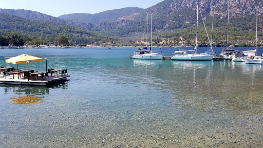 Ada Teknik Havuz Ve Havuz Kimyasalları