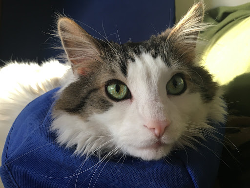 7680 26 Mile Rd, Shelby Charter Township, MI 48316, USA