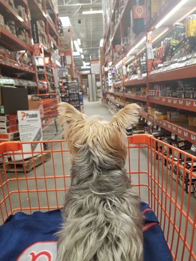 Home Improvement Store «The Home Depot», reviews and photos, 177 Willard St, Quincy, MA 02169, USA