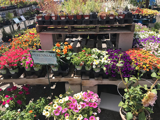 Hardware Store «Antioch Ace Hardware», reviews and photos, 501 Sunset Dr, Antioch, CA 94509, USA