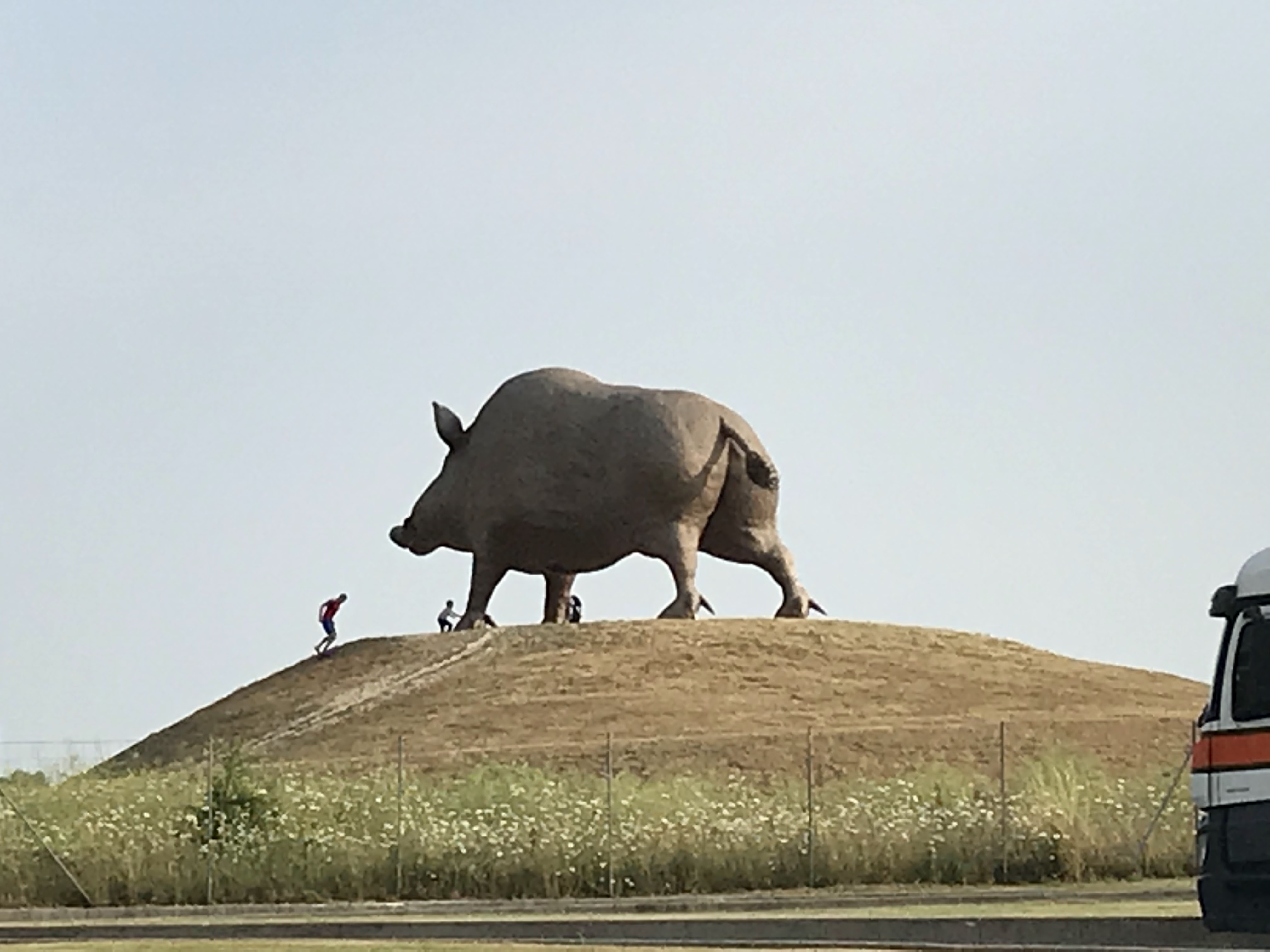 Photo n° 7 de l'avis de E. fait le 01/07/2018 à 13:42