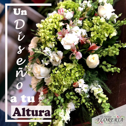 Florería el Paraíso – Huejutla de Reyes