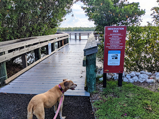 Museum «Mound House», reviews and photos, 451 Connecticut St, Fort Myers Beach, FL 33931, USA