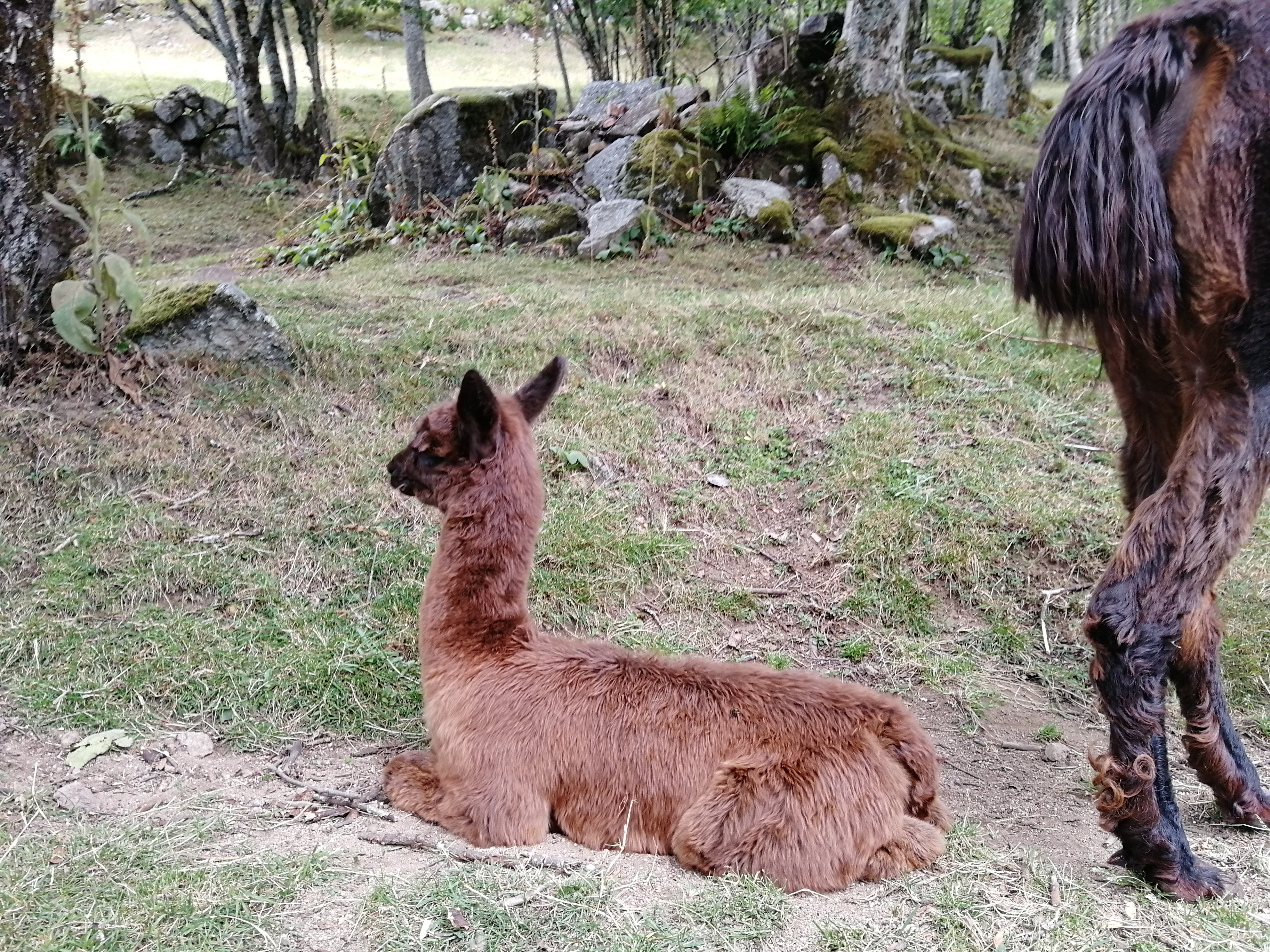 Photo n° 3 de l'avis de Nicolas.a fait le 19/08/2020 à 08:36