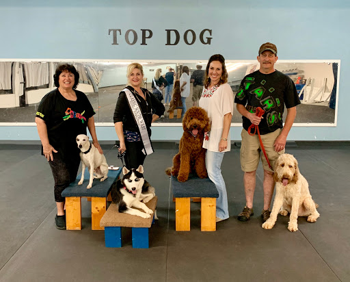 Top Dog Obedience Training