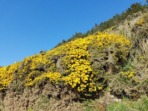 Tourist Attraction «Sea Lion Caves», reviews and photos, 91560 US-101, Florence, OR 97439, USA