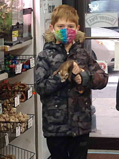 Pet Store «Jules Pet Shop», reviews and photos, 2214 N Milwaukee Ave, Chicago, IL 60647, USA