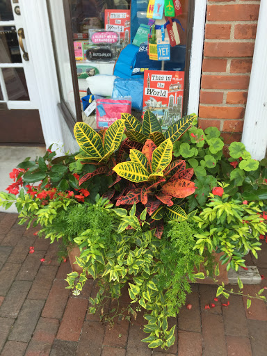 Home Goods Store «Design Solutions», reviews and photos, 146 Elm St, New Canaan, CT 06840, USA