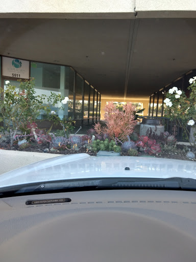 Tobacco Shop «Amsterdam Smoke Shop», reviews and photos, 5901 Warner Ave, Huntington Beach, CA 92649, USA