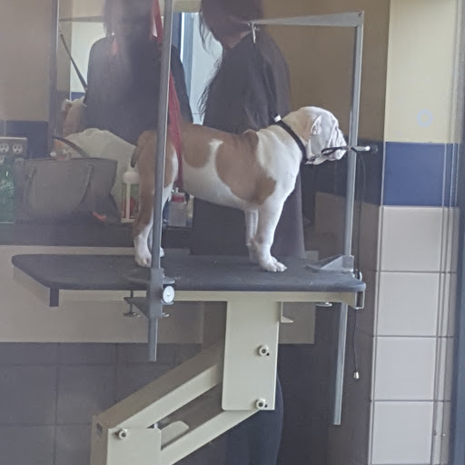 Pet Supply Store «Petco Animal Supplies», reviews and photos, 8551 S Howell Ave, Oak Creek, WI 53154, USA