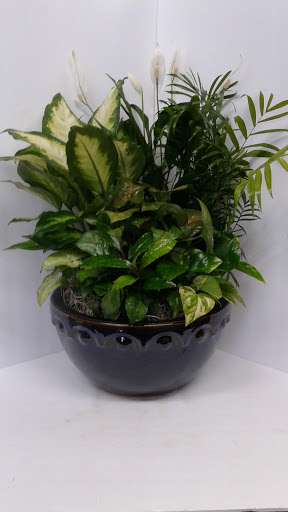 Florist «Eagledale Florist», reviews and photos, 3615 W 30th St, Indianapolis, IN 46222, USA