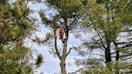 K&L Tree Service and Industrial Spraying