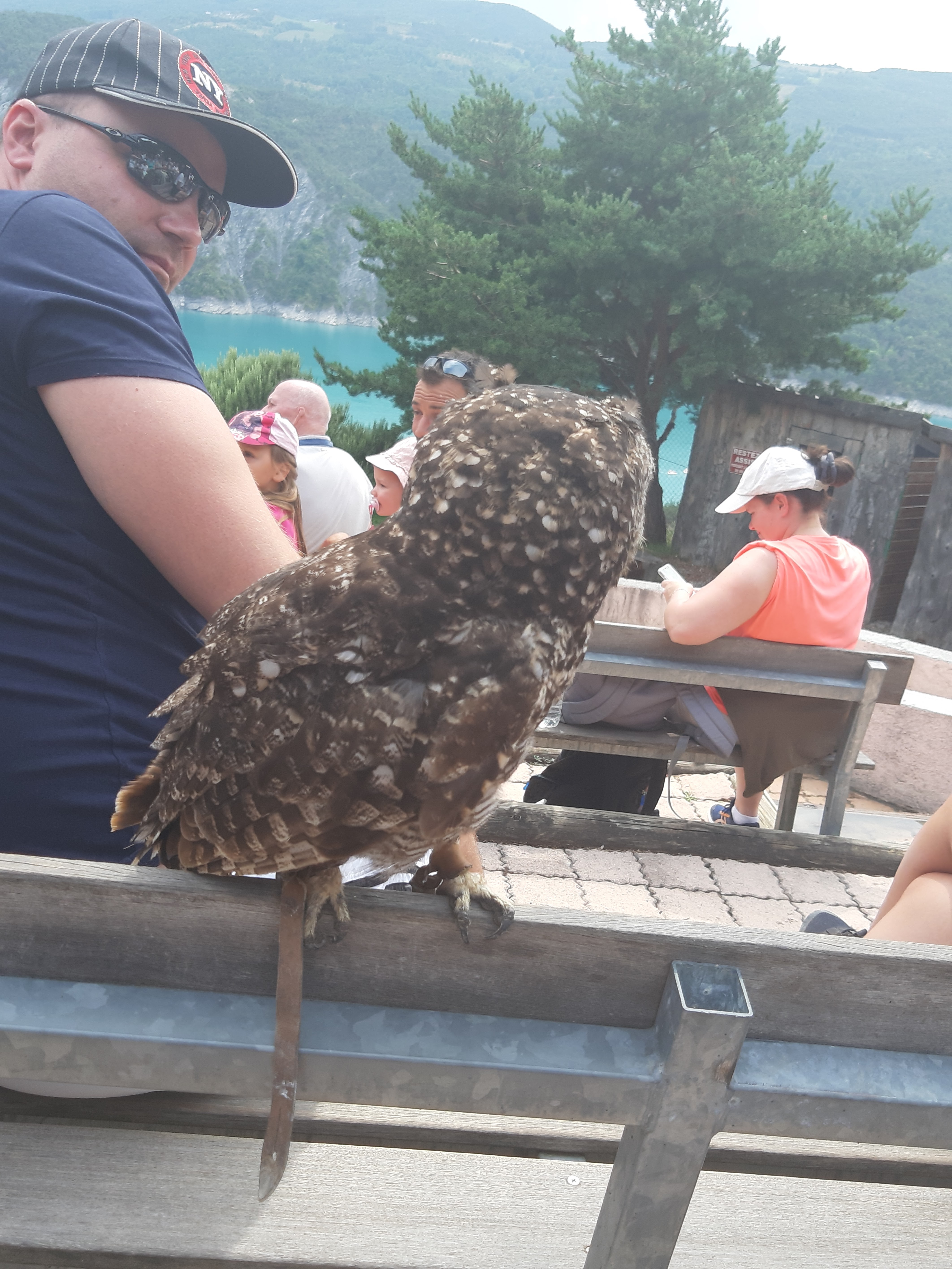 Photo n° 5 de l'avis de Domy. fait le 22/08/2019 à 22:17