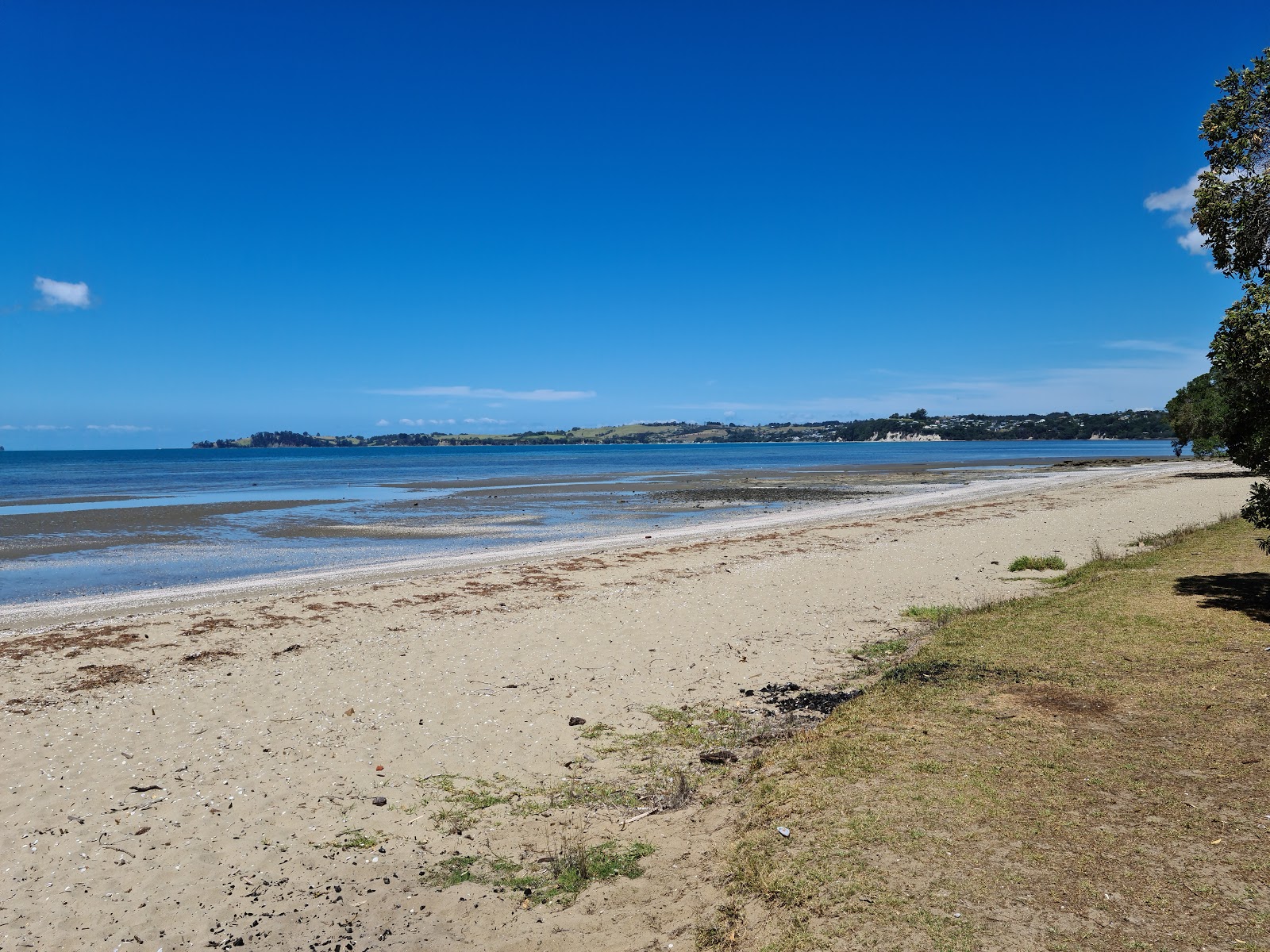 Fotografija Brick Bay Beach z svetel pesek površino