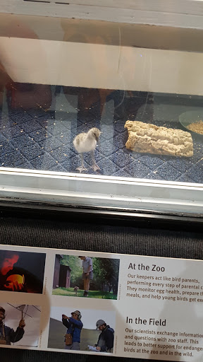 Zoo «Bronx Zoo», reviews and photos, 2300 Southern Blvd, Bronx, NY 10460, USA