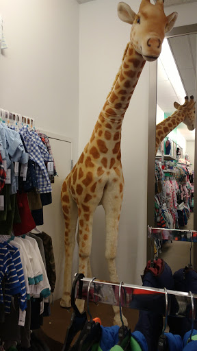 Department Store «Belk», reviews and photos, 11397 Parkside Dr, Knoxville, TN 37934, USA