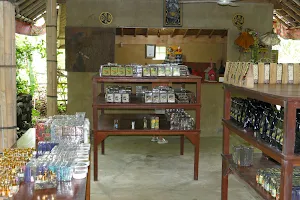 HoneyBee Farm & Luwak Coffee Agrotourism TDT image