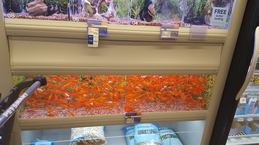 Pet Supply Store «PetSmart», reviews and photos, 310 NJ-36, West Long Branch, NJ 07764, USA