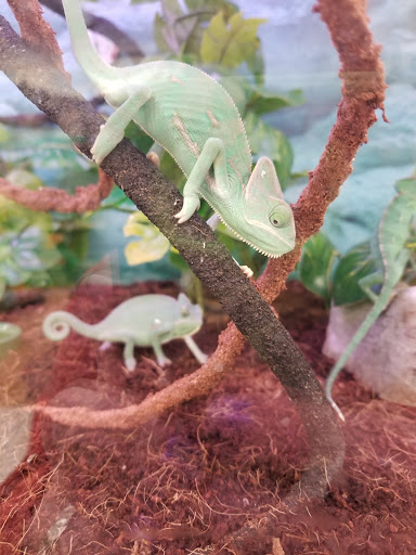 Pet Supply Store «Petco Animal Supplies», reviews and photos, 10 Waterfront Pl, Port Chester, NY 10573, USA