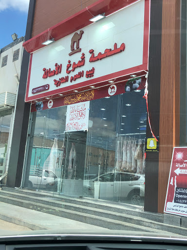 ملحمة شموخ الاصالة 