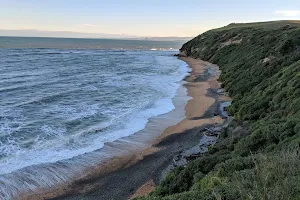 Bushy Beach Scenic Reserve image