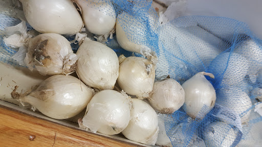 Grocery Store «Carniceria Guanajuato #1», reviews and photos, 1269 Oliver Ave, Indianapolis, IN 46221, USA