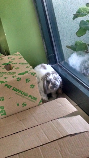 Pet Supply Store «Pet Supplies Plus», reviews and photos, 2057 S Telegraph Rd, Bloomfield Hills, MI 48302, USA