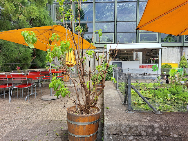 Cafébar Fleuri - Bern